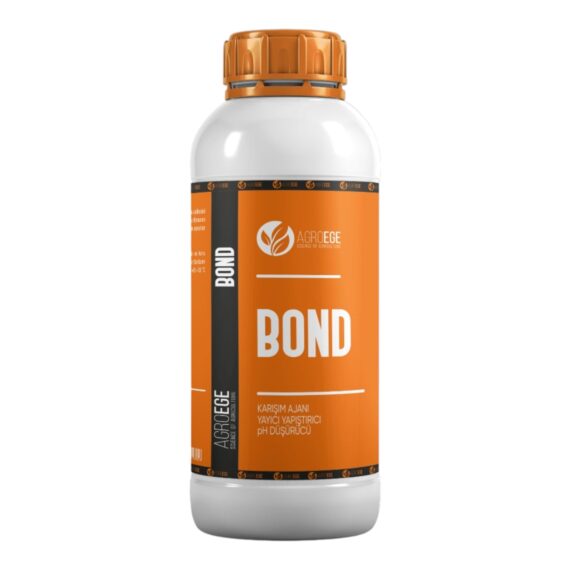 Bosteer Bond