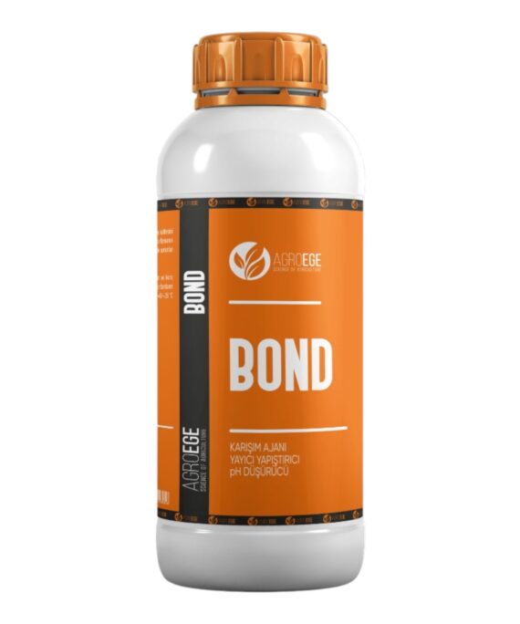 Bosteer Bond
