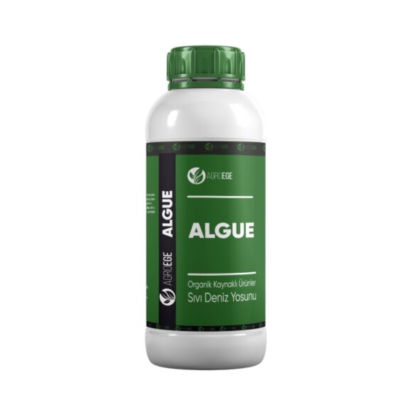 ALGUE