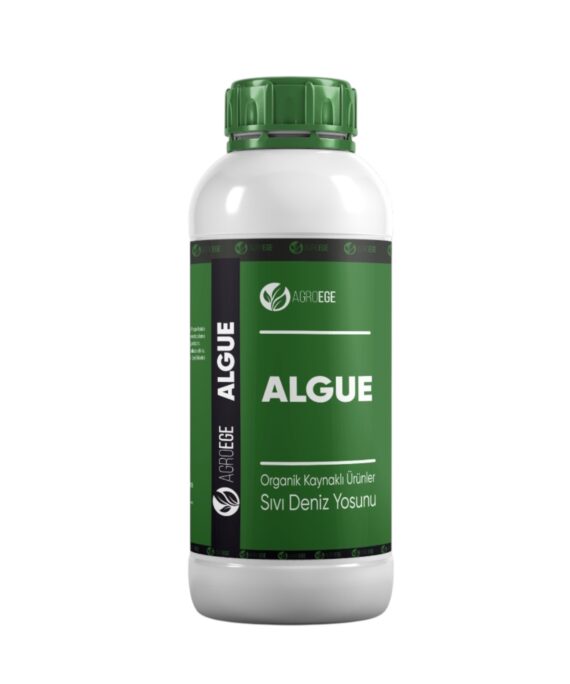 ALGUE