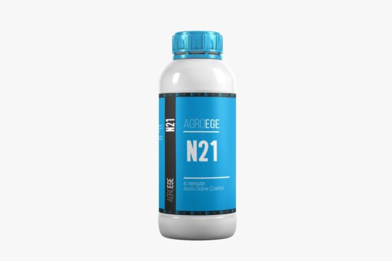 N21